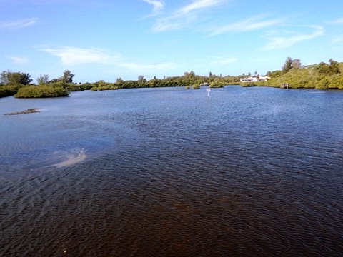 Venice Legacy Trail, Venice FL biking