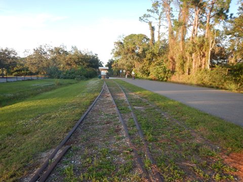 Venice Legacy Trail, Venice FL biking