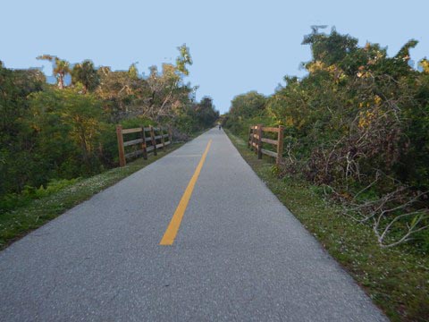 Venice Legacy Trail, Venice FL biking