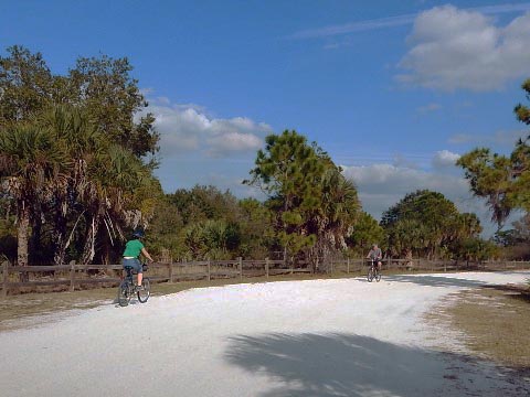 Venice Legacy Trail, Venice FL biking