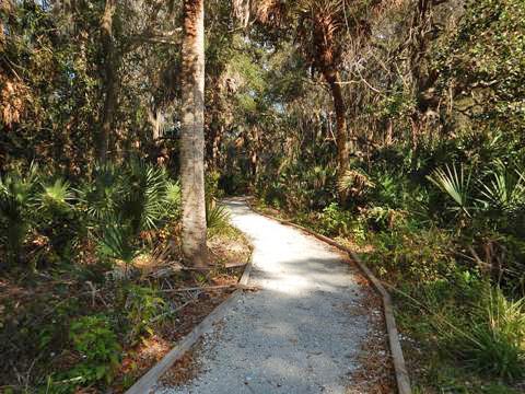 Venice Legacy Trail, Venice FL biking