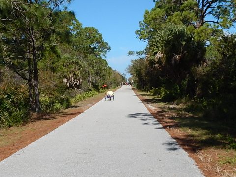 Venice Legacy Trail, Venice FL biking