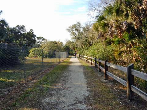 Venice Legacy Trail, Venice FL biking