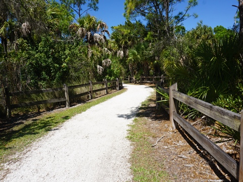 Legacy Trail, Venice to Sarasota, FL biking