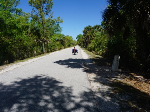Legacy Trail, Venice to Sarasota, FL biking
