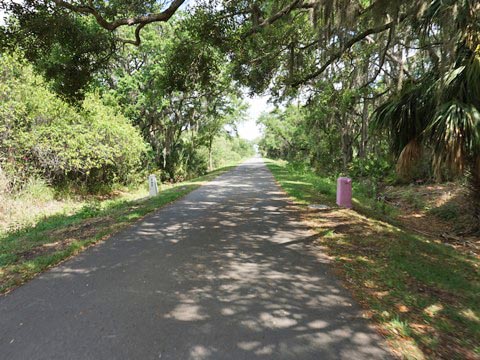 Venice Legacy Trail, Venice FL biking