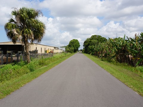 Venice Legacy Trail, Venice FL biking