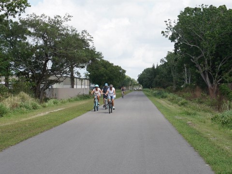 Venice Legacy Trail, Venice FL biking