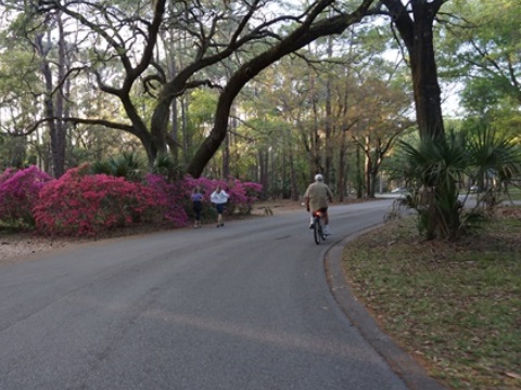 Florida Bike Trails, Pinellas Trail, East Lake Road