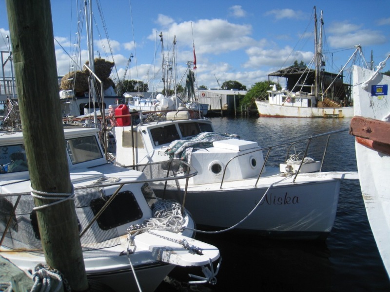 Florida Bike Trails, Pinellas Trail, Tarpon Springs