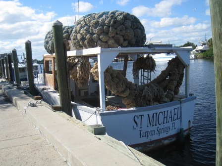 Florida Bike Trails, Pinellas Trail, Tarpon Springs