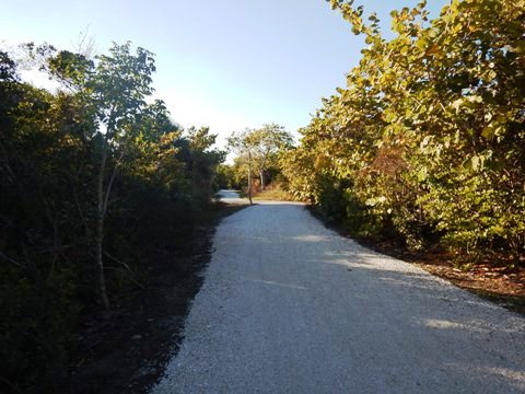 Sanibel Island Biking, Florida biking