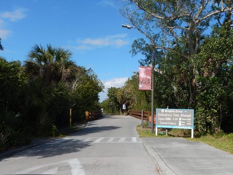 Sanibel Island Biking, Ding Darling