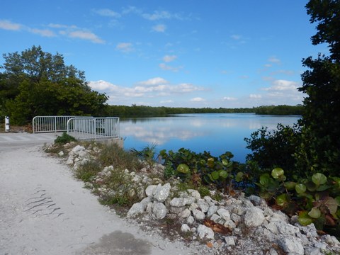 Sanibel Island Biking, Ding Darling