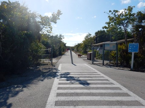 Sanibel Island Biking, Ding Darling