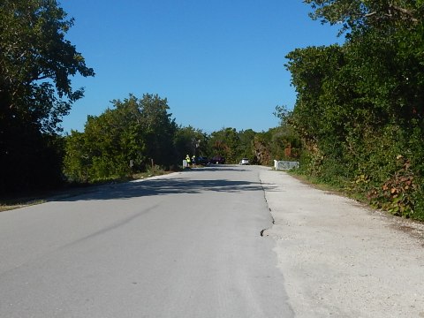 Sanibel Island Biking, Ding Darling