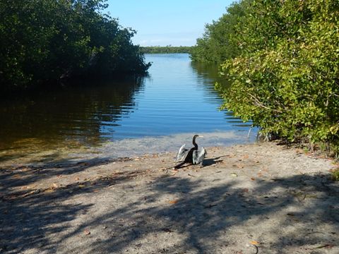 Sanibel Island Biking, Ding Darling