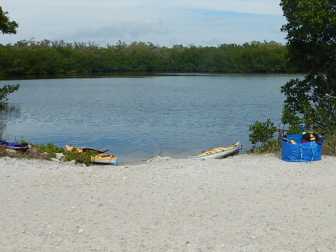 Sanibel Island Biking, Ding Darling