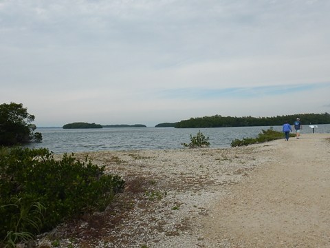 Sanibel Island Biking, Ding Darling