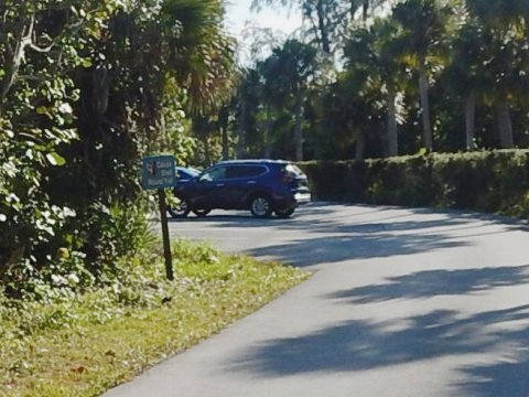 Sanibel Island Biking, Ding Darling