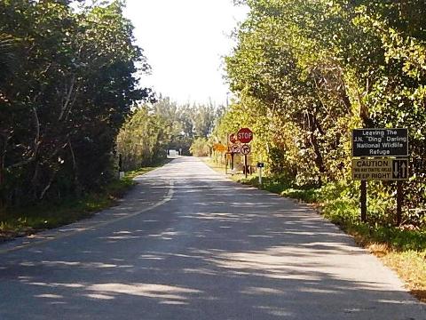 Sanibel Island Biking, Ding Darling