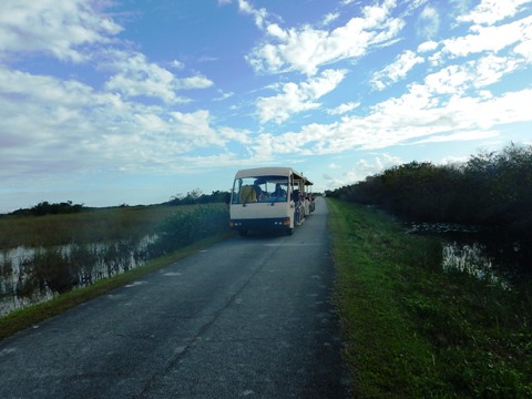 Everglades, Shark Valley