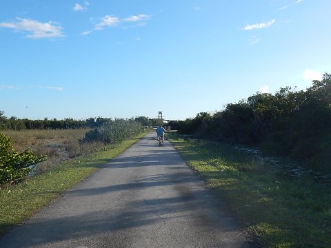 Everglades, Shark Valley