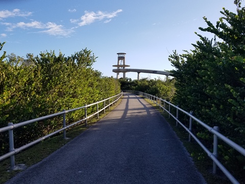 Everglades, Shark Valley