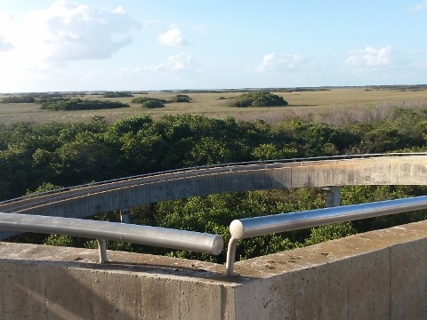 Everglades, Shark Valley