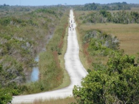 Everglades, Shark Valley