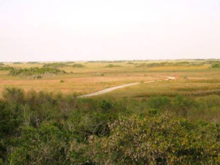 Everglades, Shark Valley