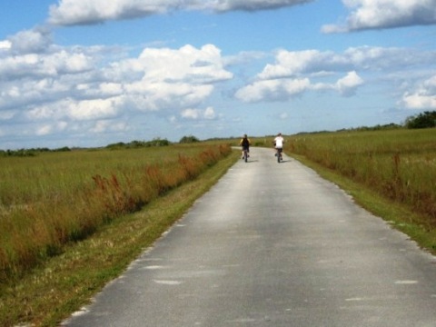 Everglades, Shark Valley