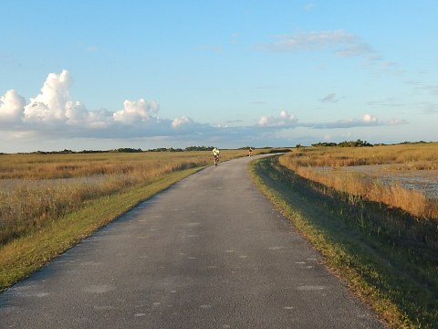 Everglades, Shark Valley