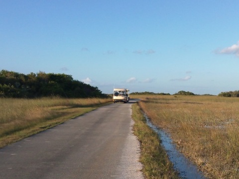 Everglades, Shark Valley