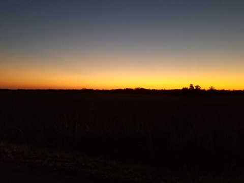 Everglades, Shark Valley