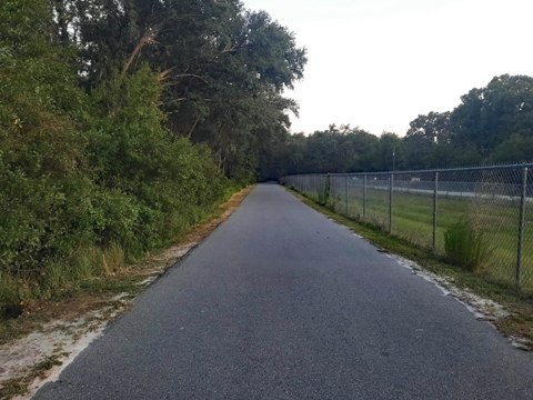 Auburndale-TECO Trail