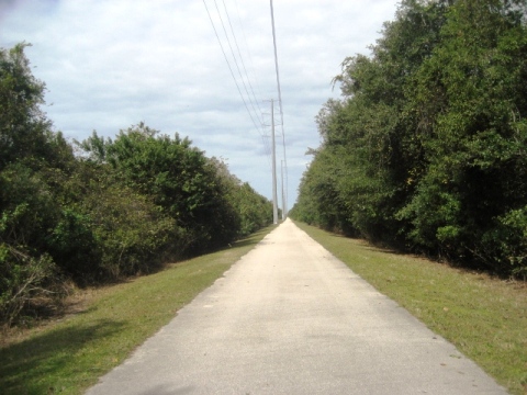 Auburndale-TECO Trail