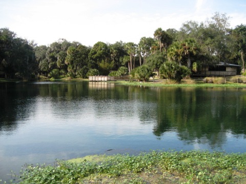 Spring-to-Spring Trail, gemini springs, bike Volusia County