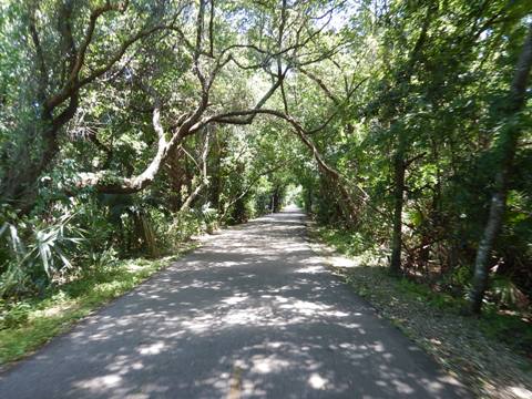 Spring-to-Spring Trail, gemini springs, bike Volusia County