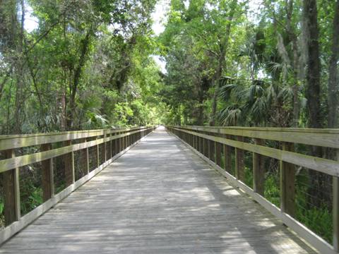 Spring-to-Spring Trail, green-springs, bike Volusia County