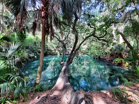 Spring-to-Spring Trail, green-springs, bike Volusia County