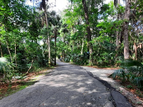 Spring-to-Spring Trail, green-springs, bike Volusia County