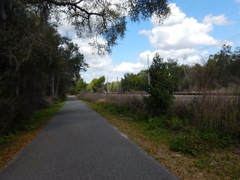 Spring-to-Spring Trail, Volusia County, Blue Spring State Park to Lake Beresford Park, bike Central Florida