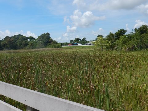 Brevard Zoo Linear Trail