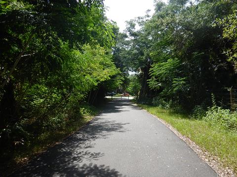 Brevard Zoo Linear Trail