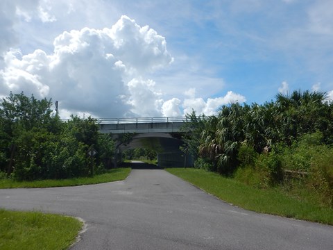 Brevard Zoo Linear Trail - Pinellas Causeway