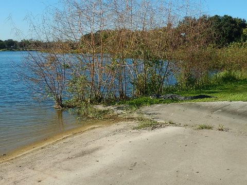 Chain of Lakes Park