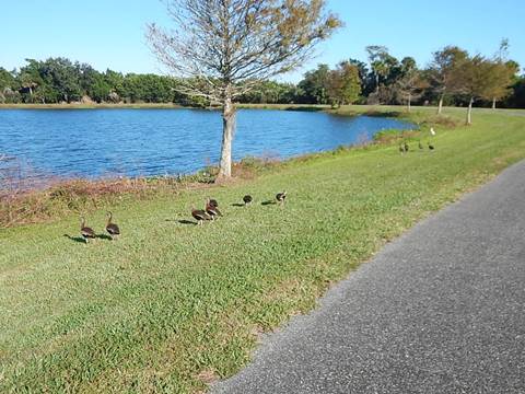 Chain of Lakes Park