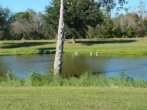 Chain of Lakes Park