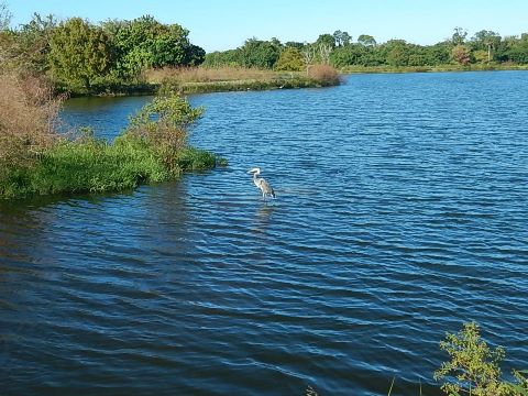 Chain of Lakes Park